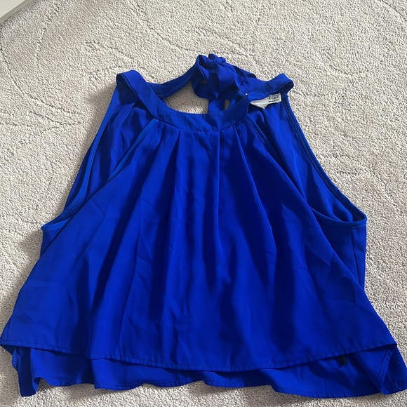 VERY LIGHTLY WORN!!! Blue sheer too (cropped) - Picture 3 of 4